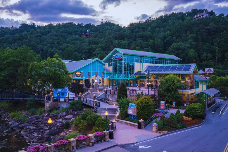 Top 10 Reasons to Visit Ripley’s Aquarium of the Smokies